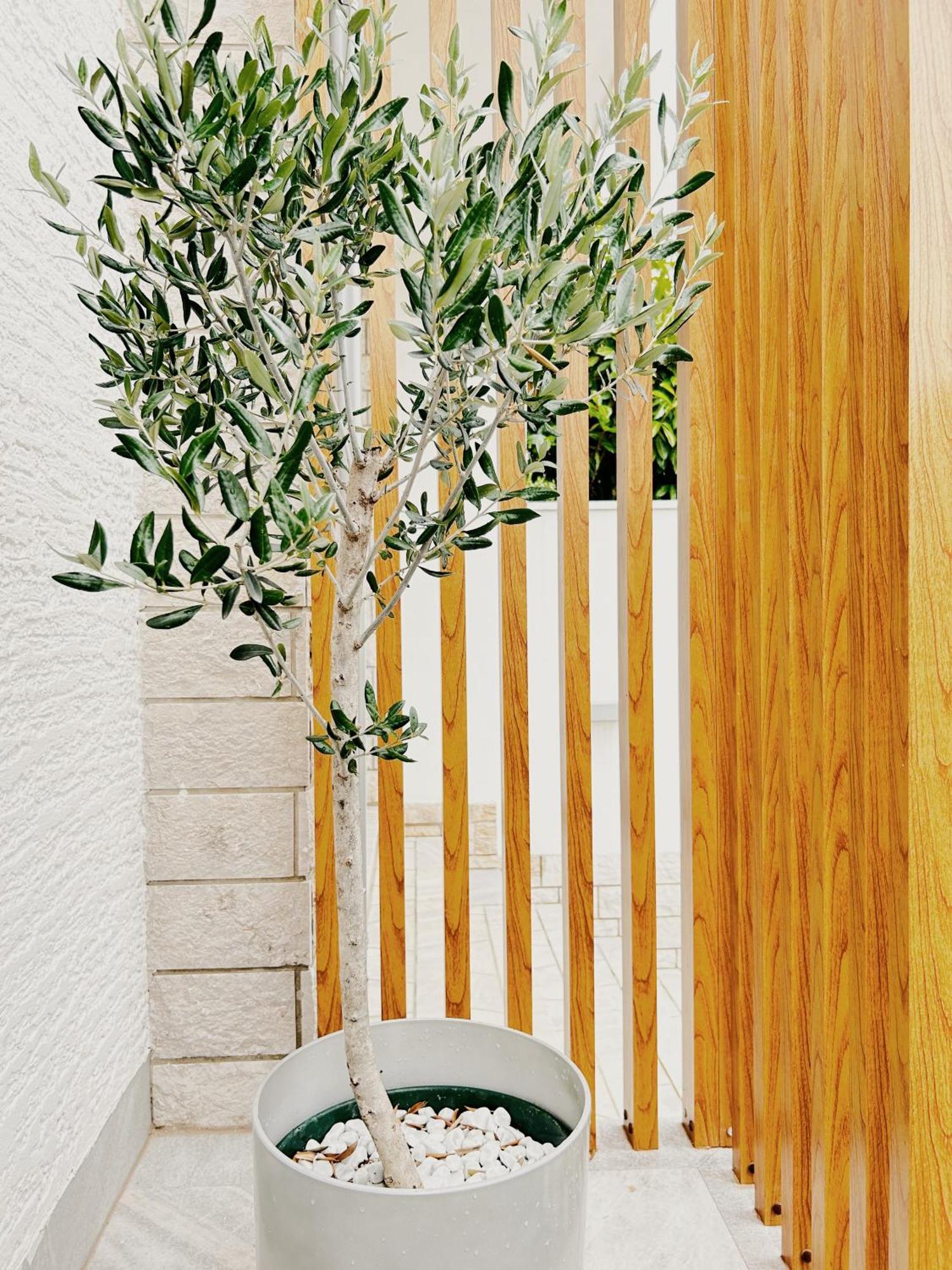 דירות זמברטיה Sunny House מראה חיצוני תמונה